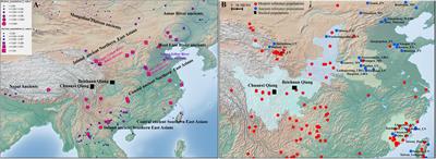 Genetic admixture history and forensic characteristics of Tibeto-Burman-speaking Qiang people explored via the newly developed Y-STR panel and genome-wide SNP data